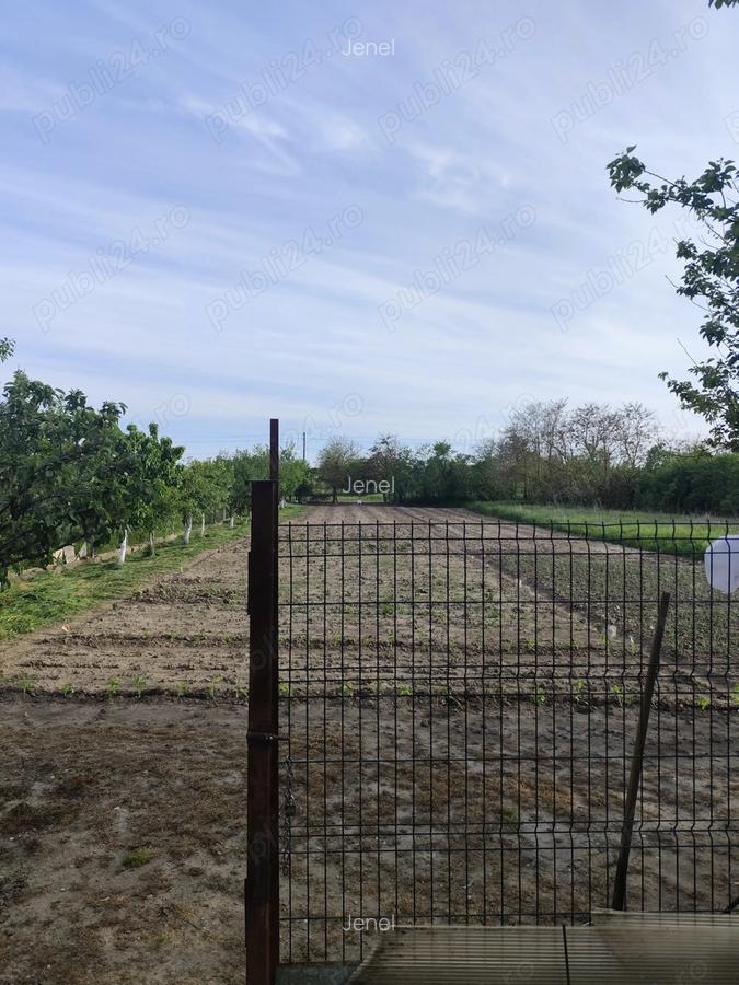 Vand casa cu teren sat Sarbova - 4