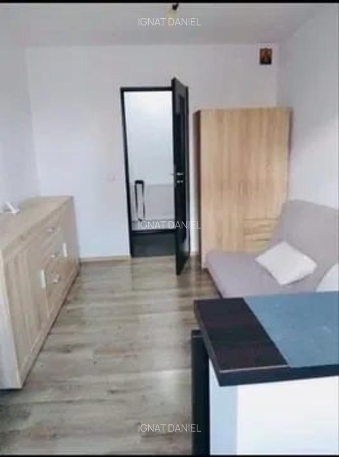 Apartament cu 2 camere, DECOMANDAT, zona Alexandru cel Bun - 3