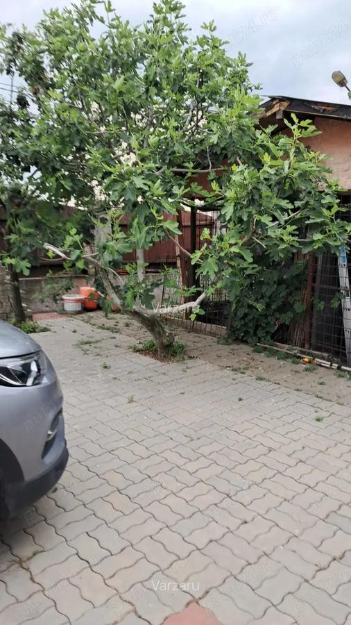 Vand sau schimb casa cerneti - 12