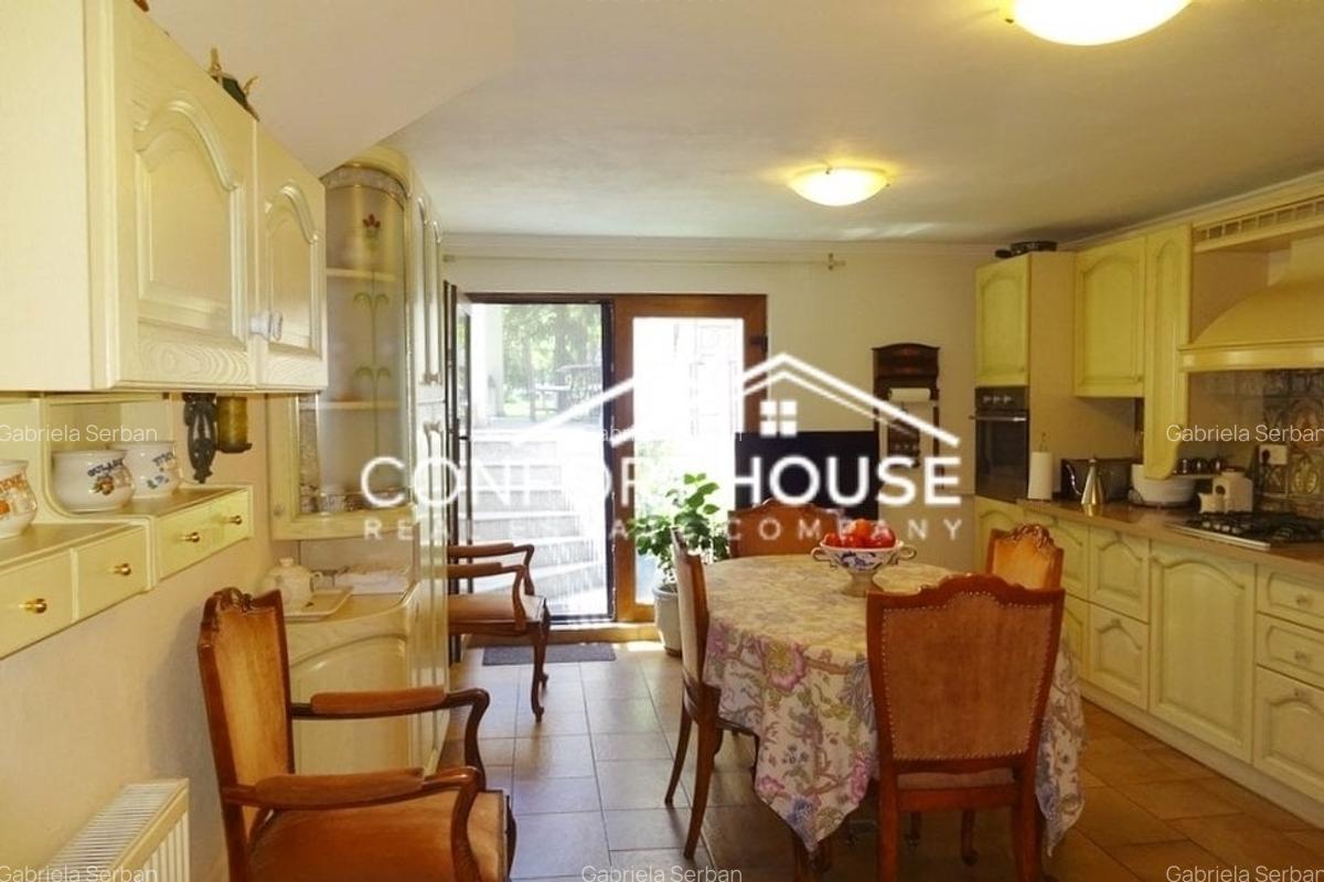 VILA SUPERBA IN IANCU NICOLAE - 28
