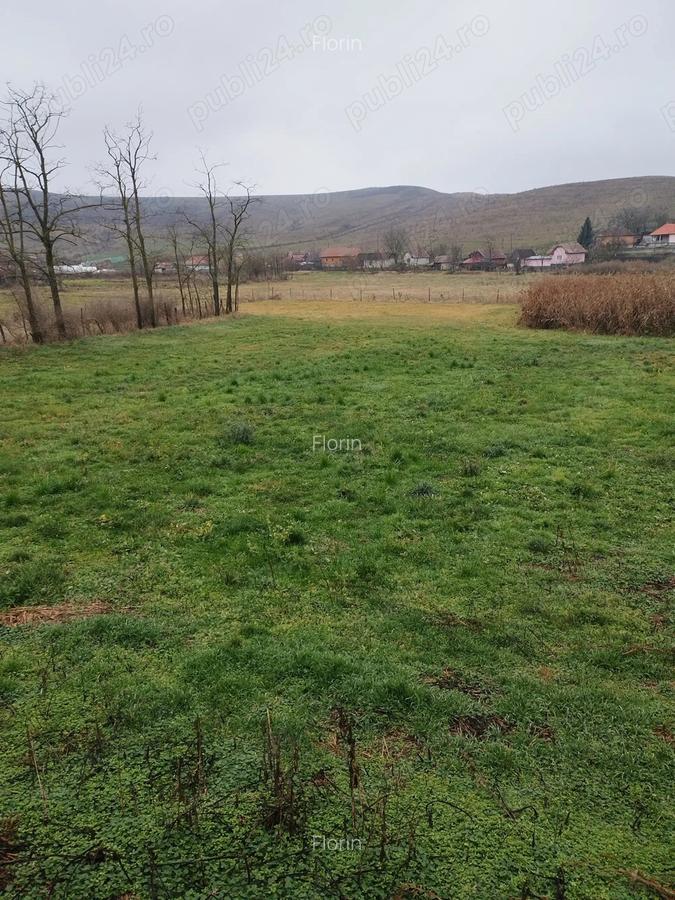 Casa batraneasca de vanzare - 9