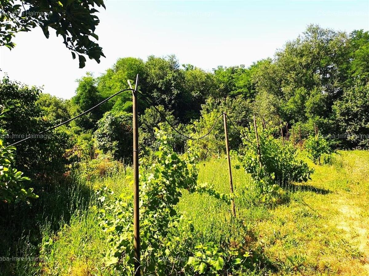 Casă individuală cu 2 camere în Ginta - 13