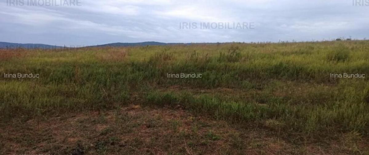 11500euro!Teren intravilan,priveliste superba,ideal construc - 3