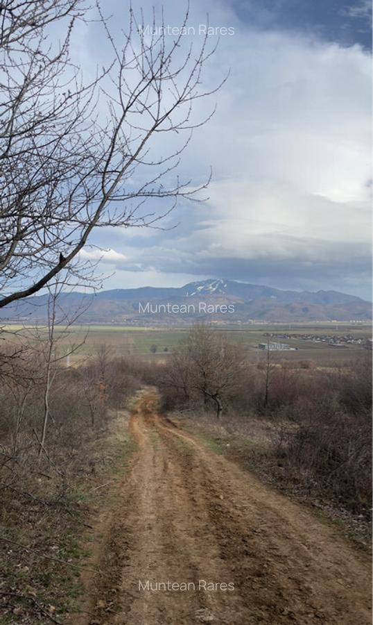 Teren intravilan 3400mp - 11