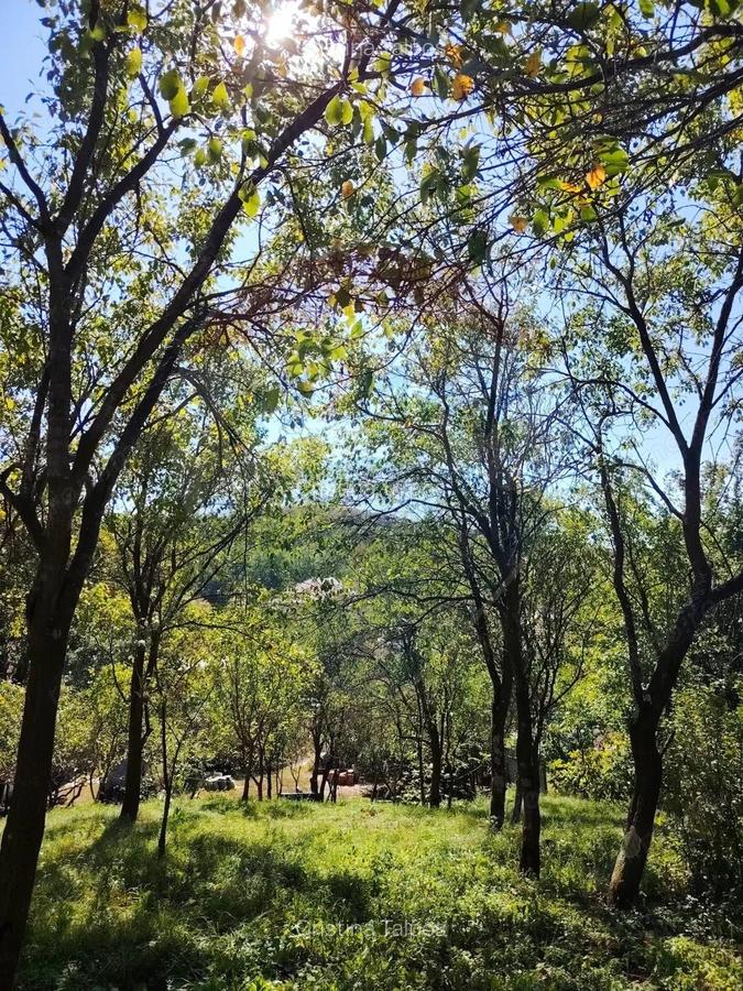 EXCLUSIVITATE! Casa veche si teren 30 ari, centru Mirsid - Comision 0% - 6