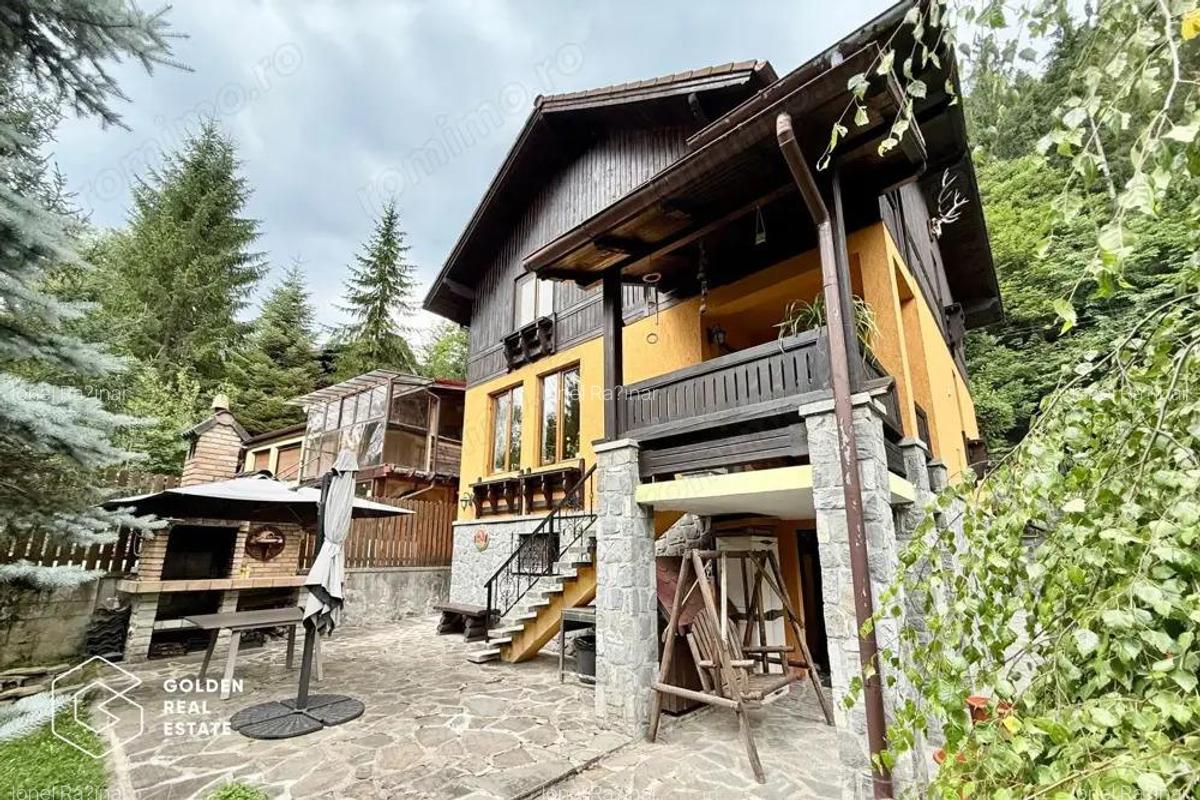 Vila de exceptie in Sinaia, mobilata, utilata, cu vedere superba - 4