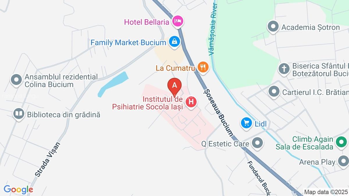 Garsonieră semidecomandată în Bucium - 1