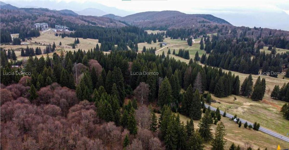 Teren cu potential:1.000 mp,proiect turistic rezidential,Poi - 7