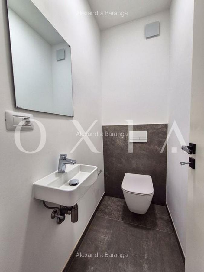 AX1068 Dumbravita, Bulevardul Petre Tutea, Prima Inchiriere - 16