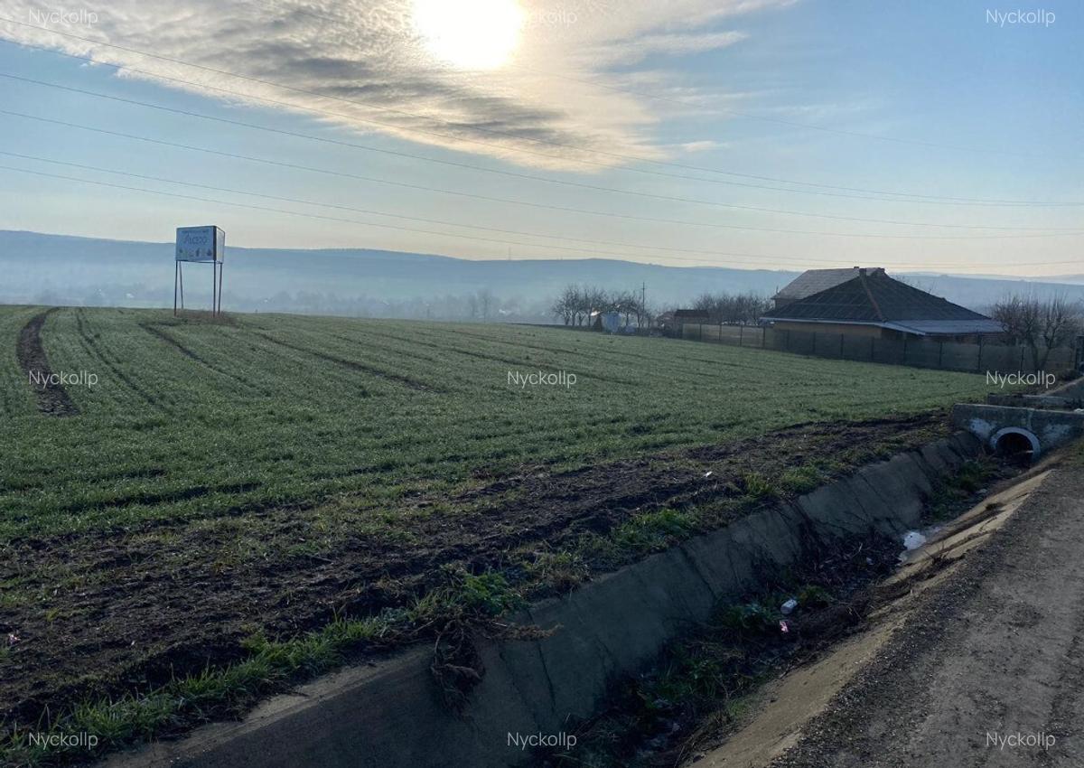 Teren 19201 mp- Valea Satului, com. Grajduri, jud. Iasi - 2