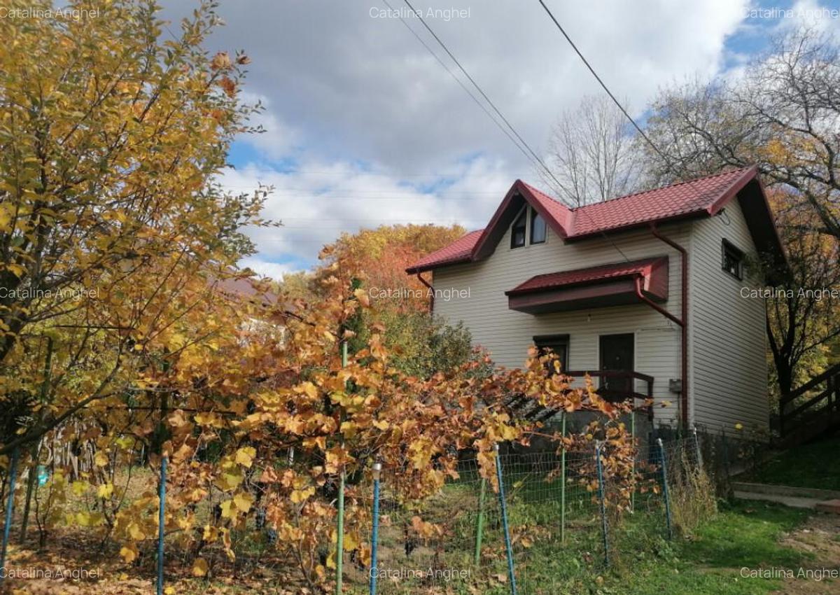 Imobil regim de inaltime p+m, Comarnic - 11