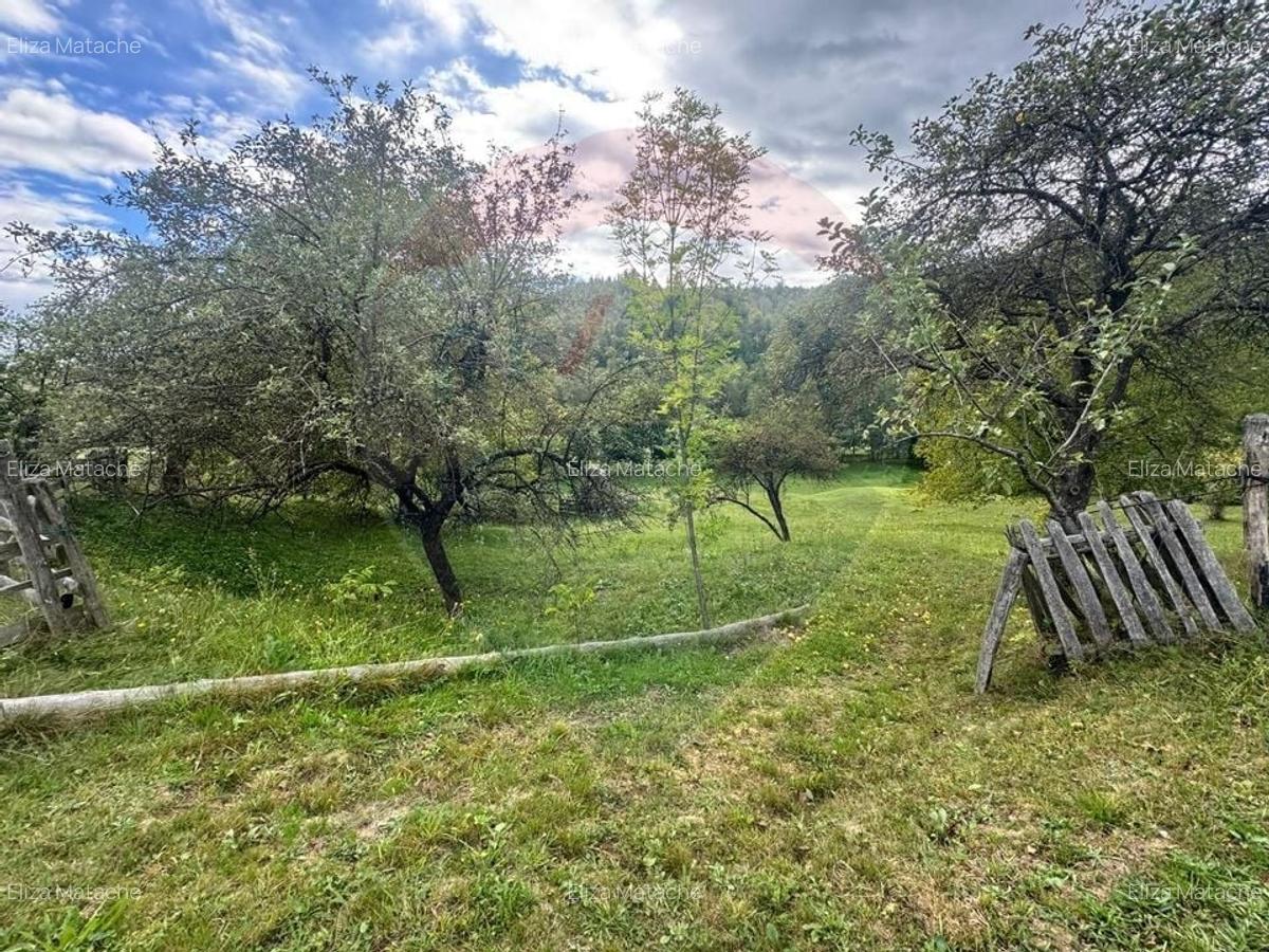 O oportunitate unica in inima naturii -- 6.605 mp in Candesti - 11