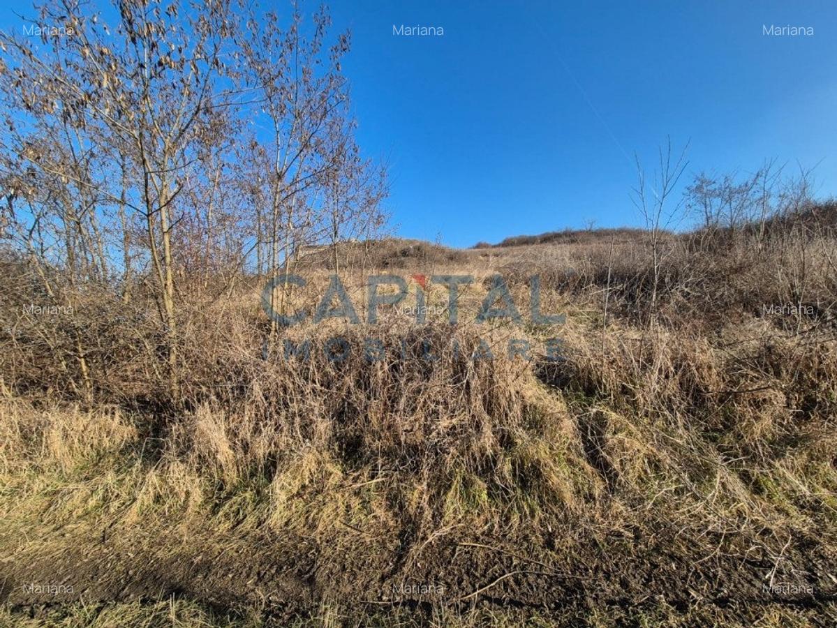 Teren intravilan, 1 000 mp, zona Tausor - 6