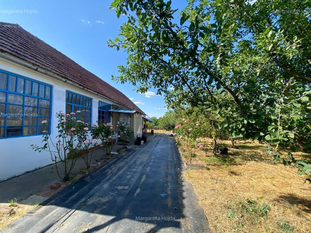 Casa de vacanta , 2 cam, teren 3.381 mp - 7