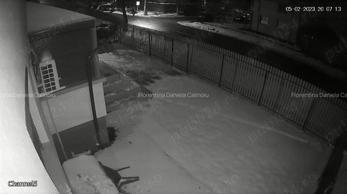 Inchiriere Vanzare apartament - 7