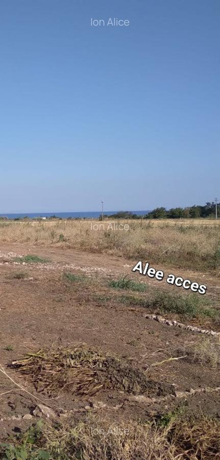 Teren la mare 2 Mai-Vama Veche 174mp - 3