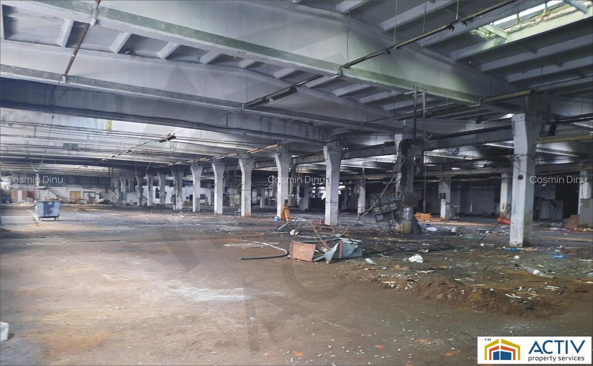 Spatiu Industrial de inchiriat Brasov- Codlea - 2