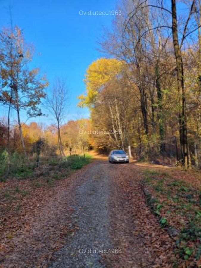 Vand teren cu padure la 5 km de Curtea de Arges,zona deal-munte,zona superba - 2