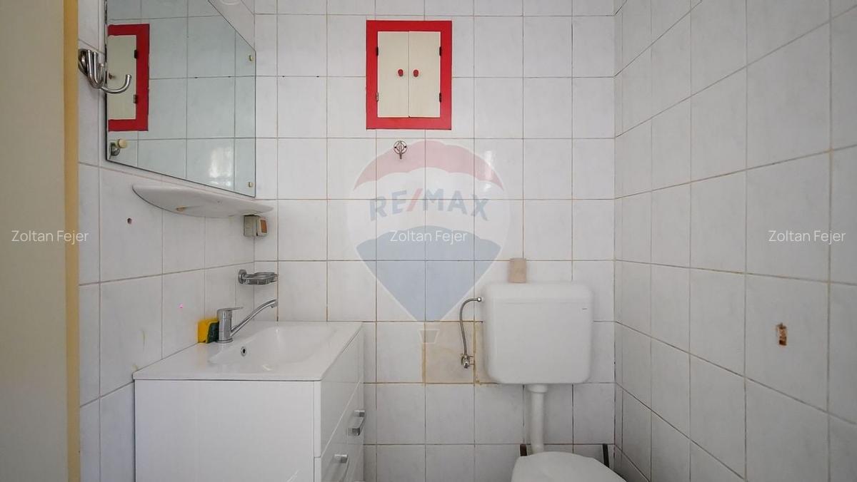 Comision 0 %! Casa cu 5 camere de vanzare in zona Turches! - 25