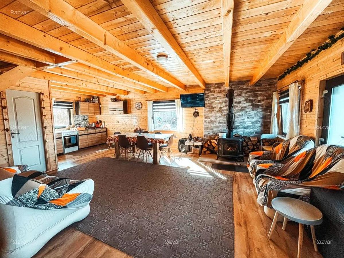 Cabana de vanzare o oaza de liniste in Muntii Apuseni Valea Ierii - 3