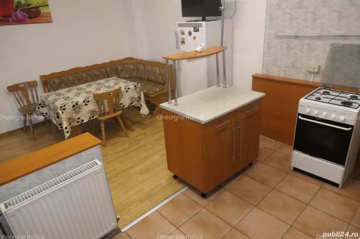 Apartament 1 camera spa?ios, incalzire proprie, central - Podgoria - 6