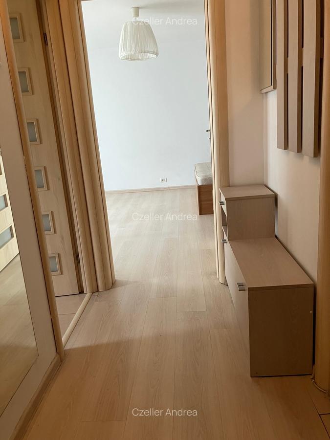 Inchiriere garsoniera Mihai Bravu Vitan,4/4,decomandata,mobilata modern,330€ANAF - 6