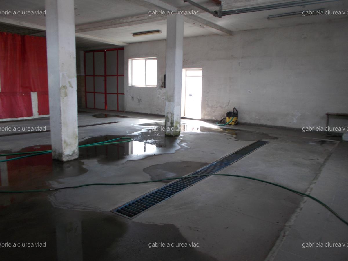 Inchiriez hala situata in Lazaret,200m,pretabila spalatorie,service - 6