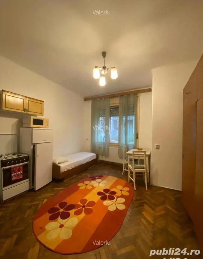 Apartament, 1 camera, parter, zona Balcescu - 2