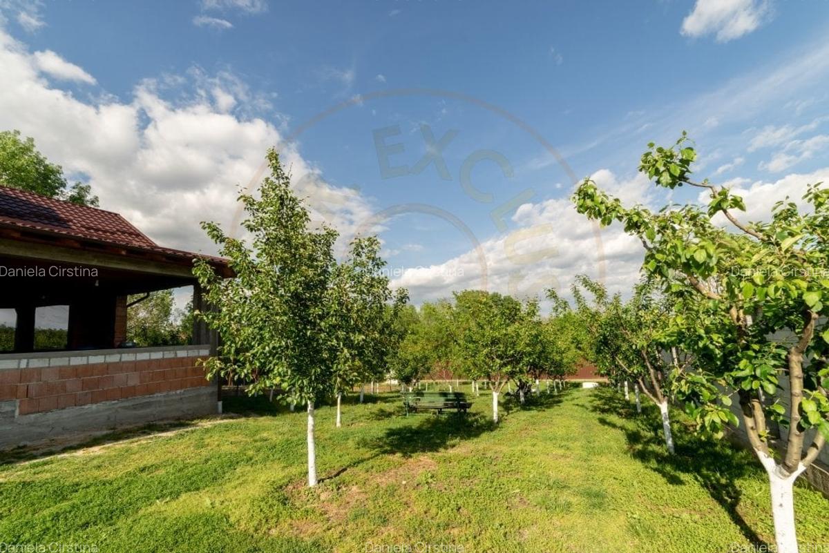 0% COMISION ! CASA  PARTER+ MANSARDA  - com  PADURETI , Arges - 1