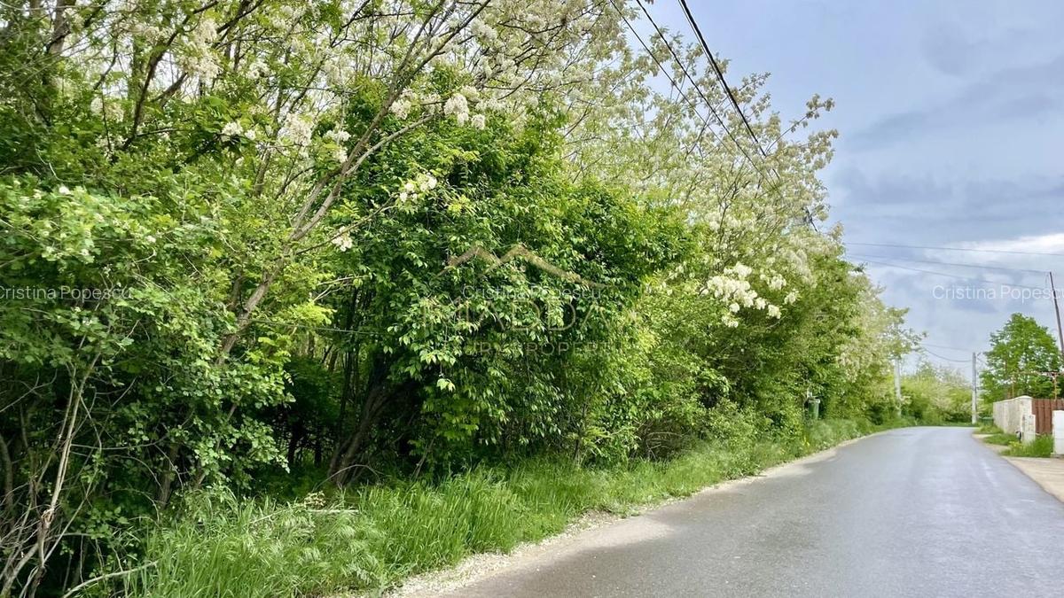 Vila  SMART_individuala _LUX***Padurile Regale//Corbeanca - 13