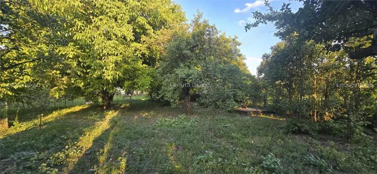 De vanzare apartament la casa in Chintelnic - 2