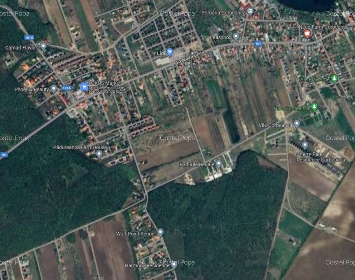 Corbeanca teren intravilan 5000 mp compact deschidere 22 ml, utilitati in zona - 2