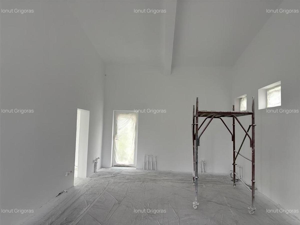 Hala Spatiu Comercial Iasi Sipote,Trifazic, Apa,Canalizare,S.u. 200 mp,2700 mp t - 5