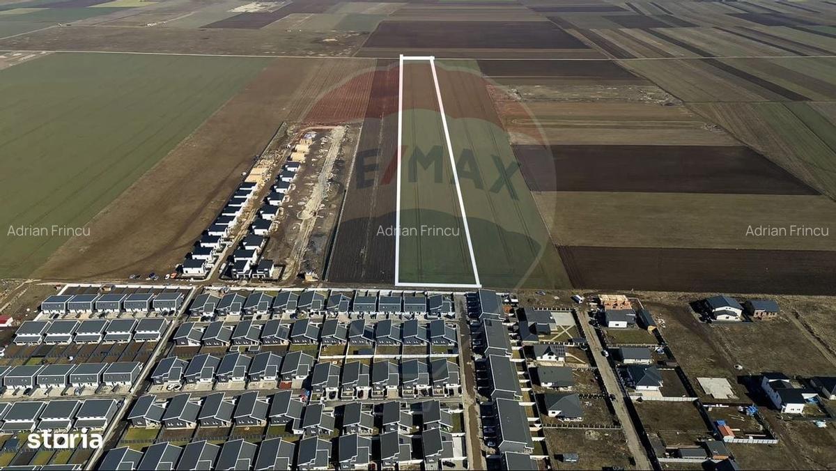 Teren 38.500 mp Tarlungeni / Strada Cartier Valea cu flori - 5
