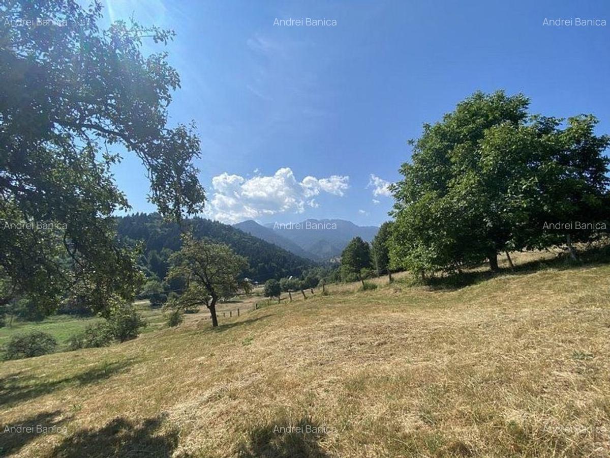 Teren extravilan de vanzare in Rasnov | 6.070 mp | Vedere panoramica - 6