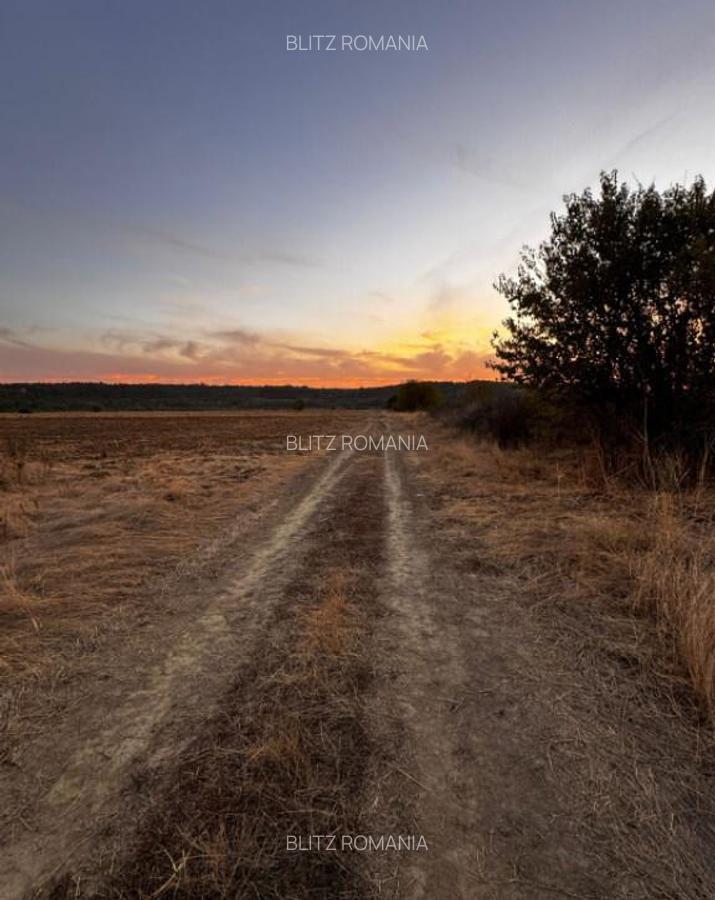 Teren extravilan 5000 , 2,5 euro mp BREASTA - 12