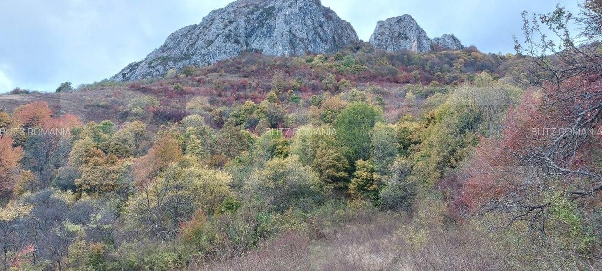 Teren extravilan 16121 mp apa si curent, ideal pentru cabane Zona Ramet - 1