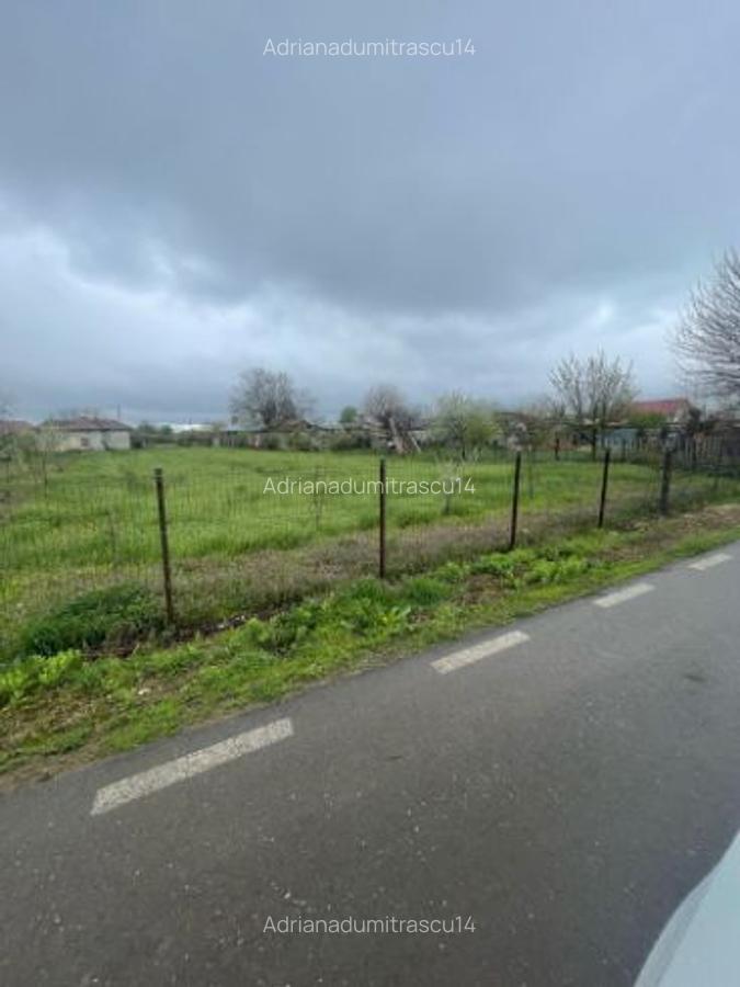 Teren intravilan+casa cop Baneasa Giurgiu - 3
