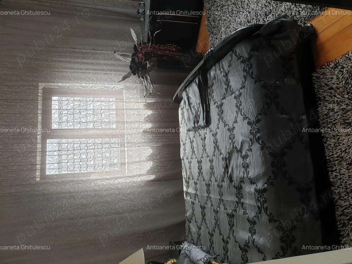 Casa de vanzare ,vila - 9