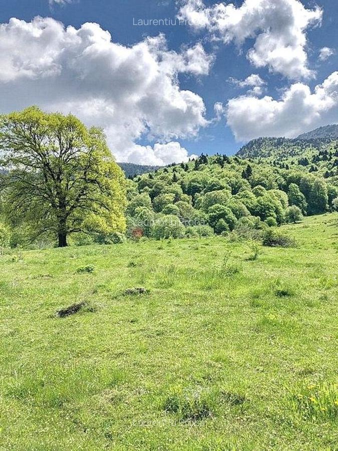 TEREN POTENTIAL TURISTIC - Rasnov - Cheisoara - 3