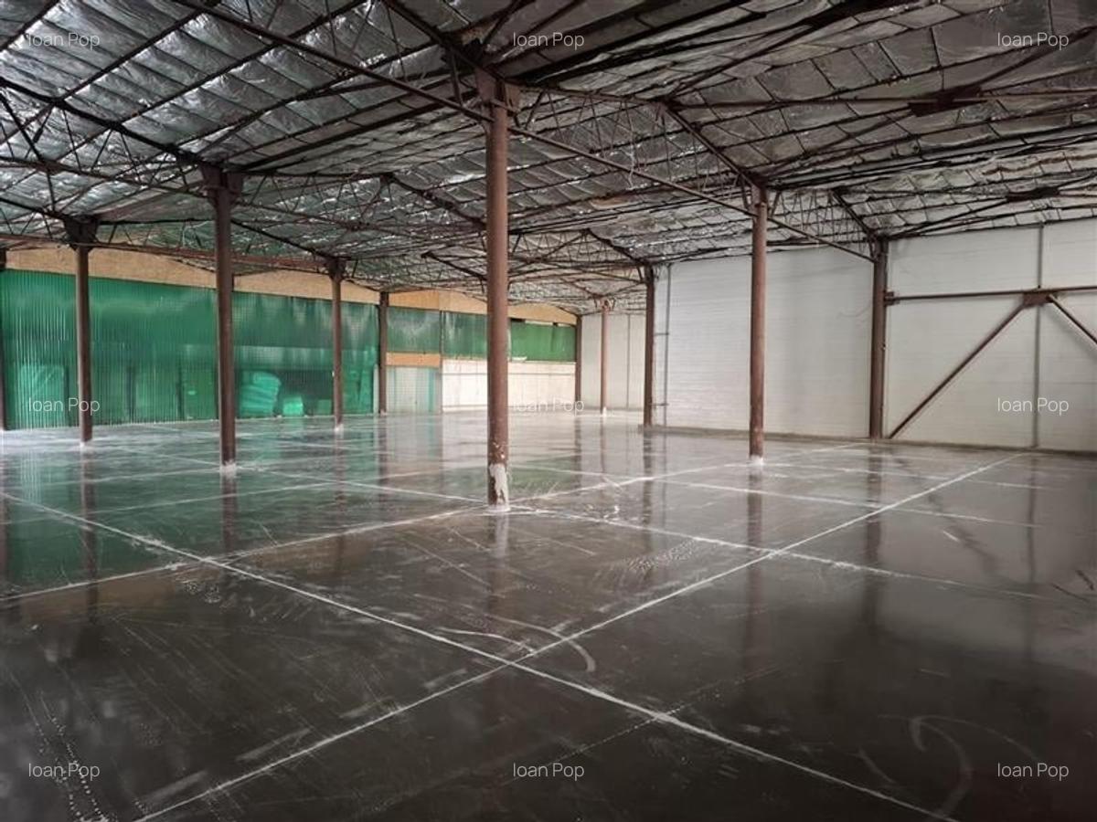 Hala de 570 mp utili, situat in cartierul Baciu! - 2