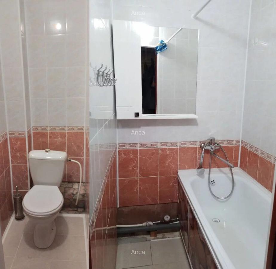 Apartament cu 2 camere de inchiriat zona Mosilor - 4