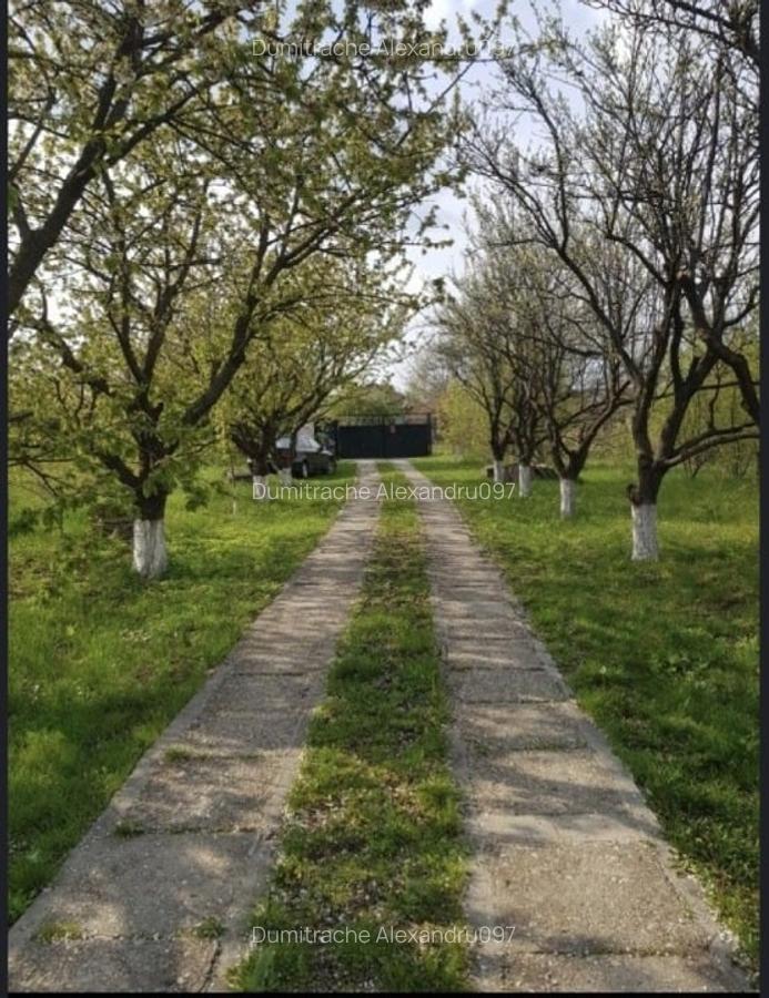 Teren de vânzare în Străulești, Sector 1 – 4.000 mp cu potențial MAXIM - 2