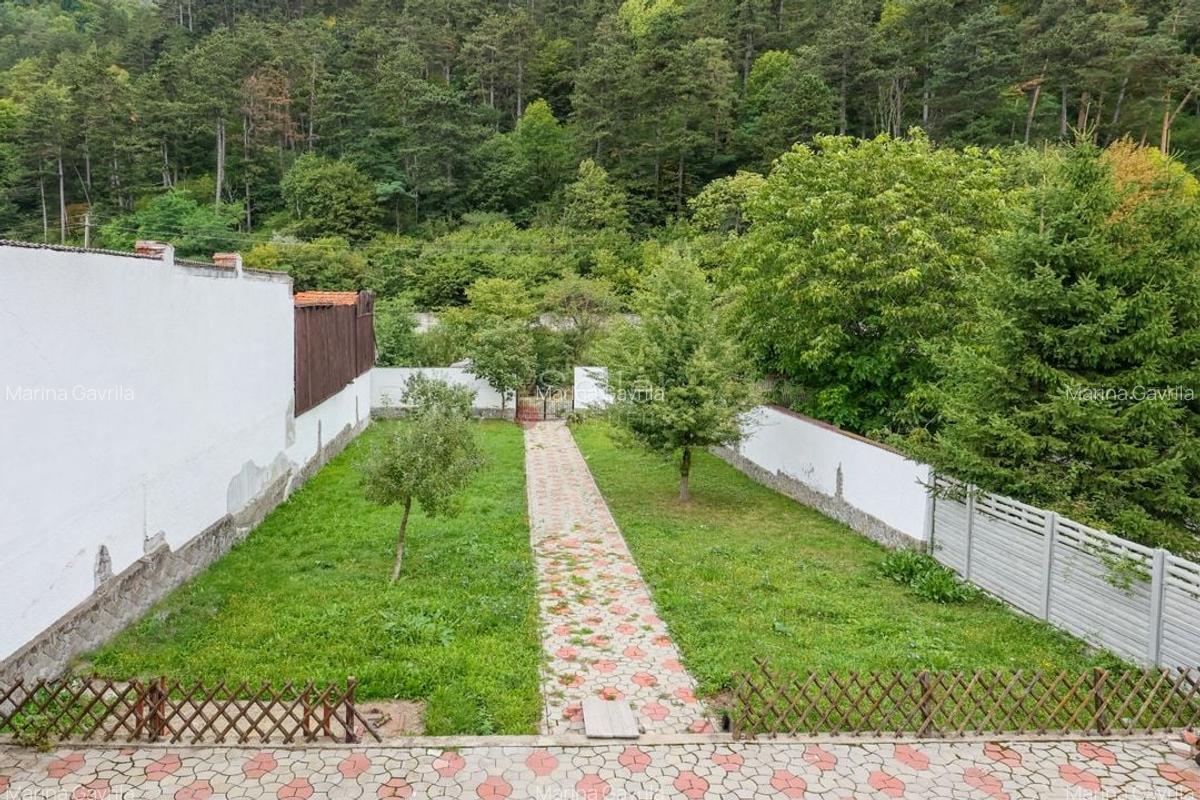 Proximitate imediata fata de Castelul Bran - 6