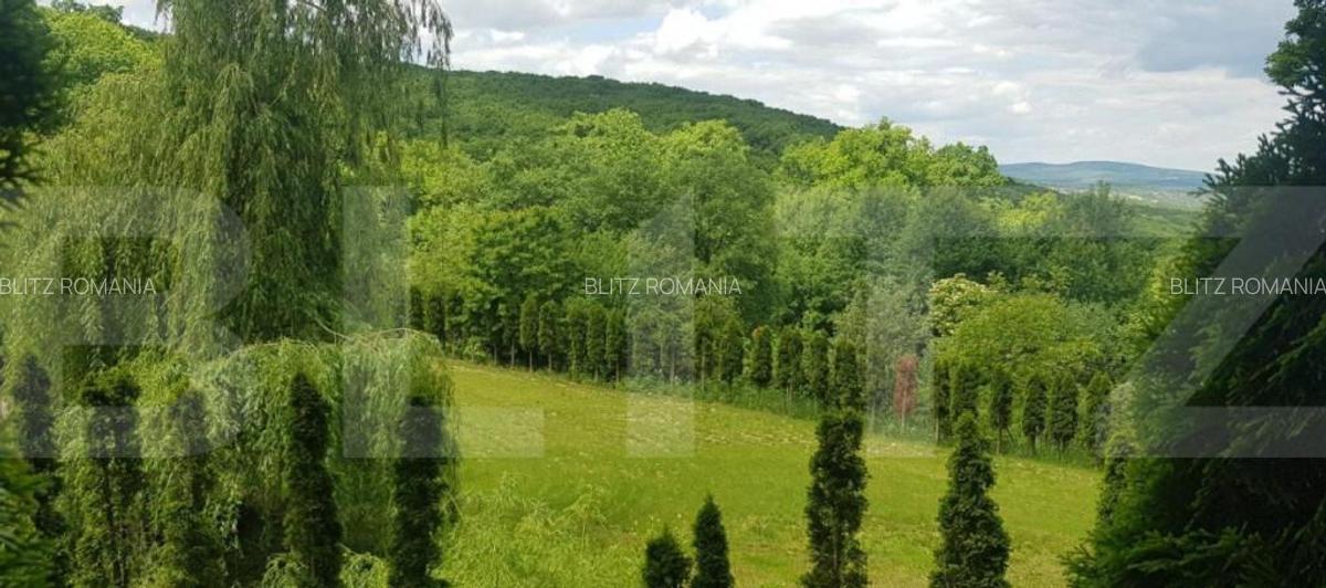 Investitie ! Casa de vacanta 350 mp utili ,teren 3000 mp in - 16 Investitie ! Casa de vacanta 350 mp utili ,teren 3000 mp in - 16