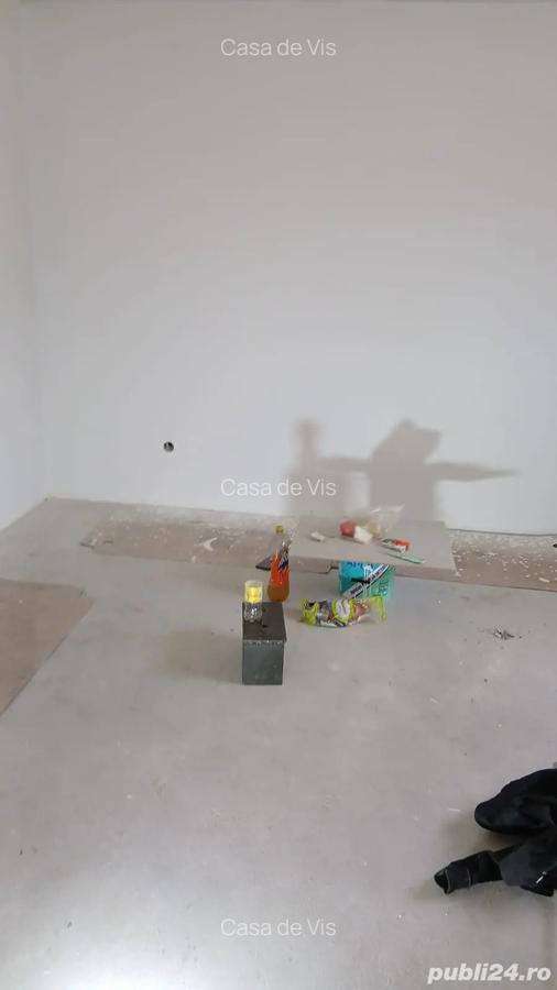 2 case P+ 1 de vanzare - 5