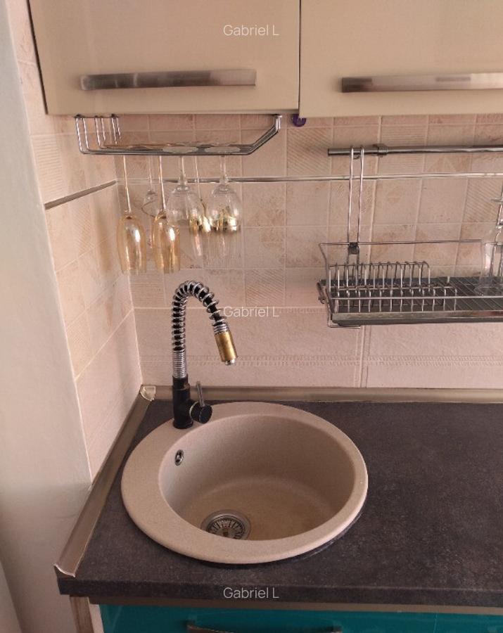Apartament 2 camere, mobilat modern, Gorjului - 9