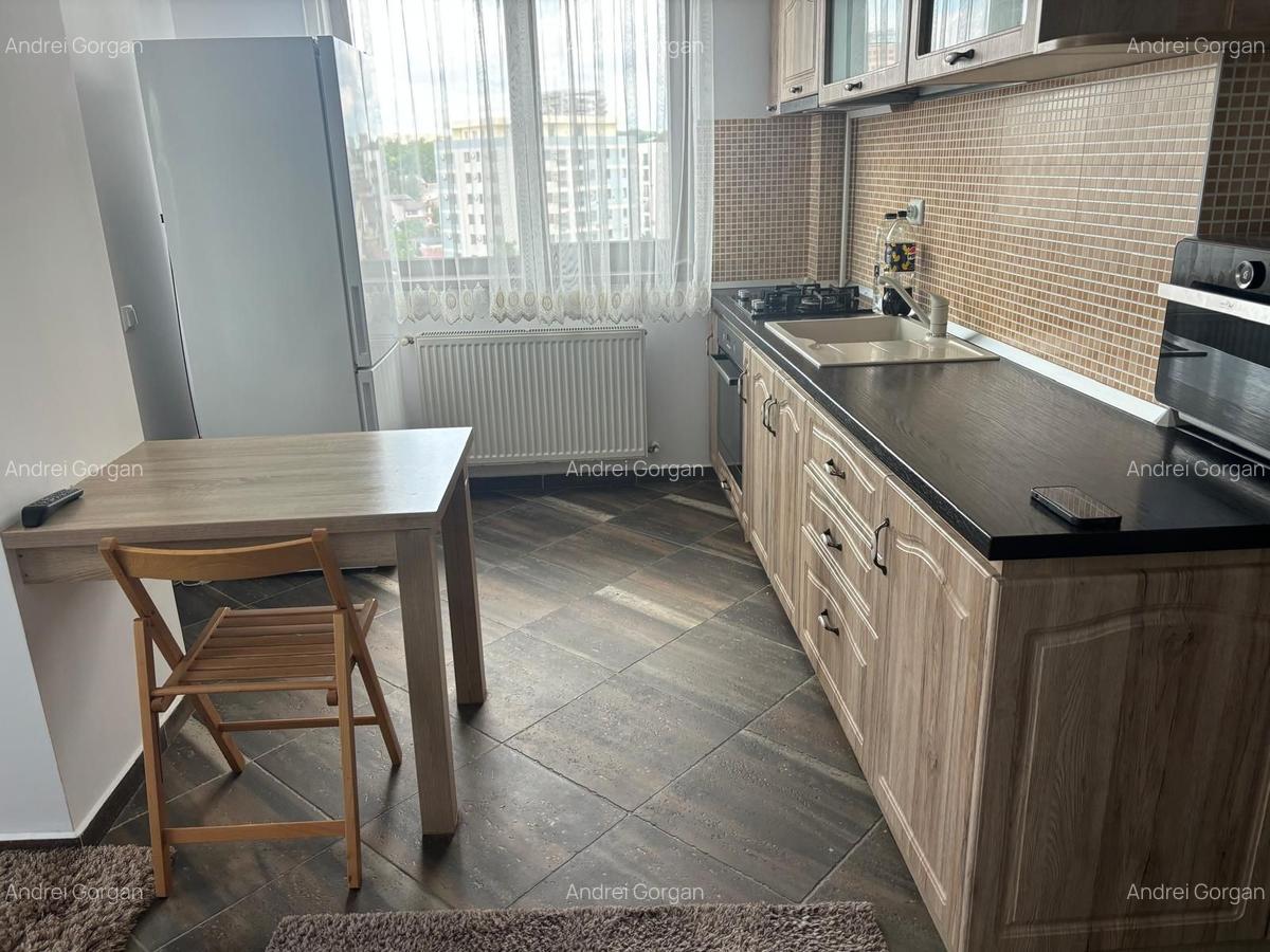 Apartament cu 2 camere, mobilat în Palat - 4