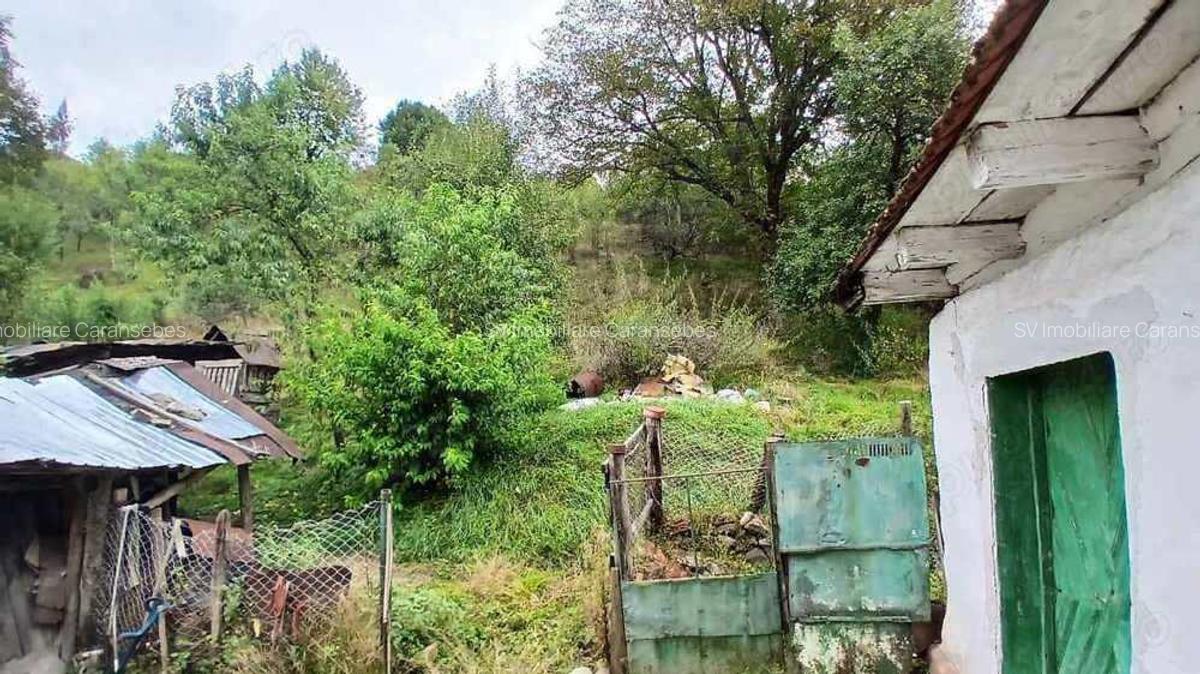 Comision 0 - Teren 3342 mp cu casa in Rusca Montana - 6