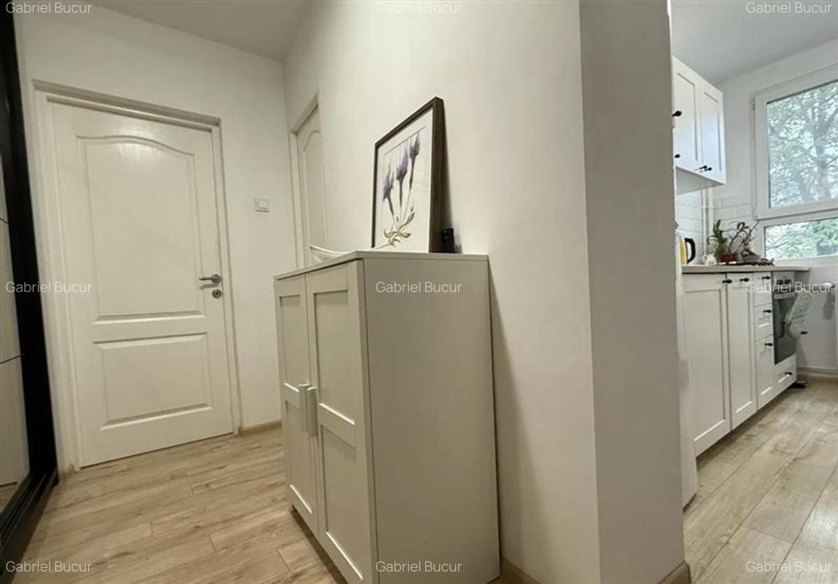 Vanzare Garsoniera Decomandata Berceni-Secuilor - 19